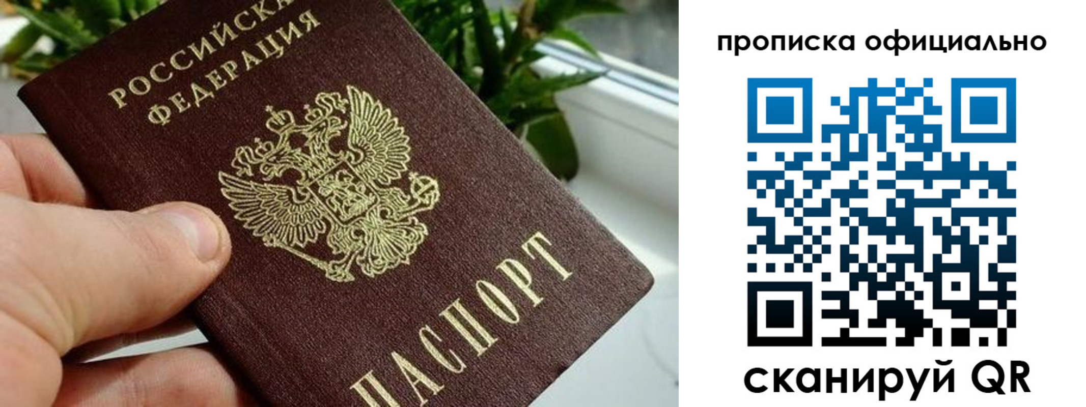 прописка поиск в Белокурихе